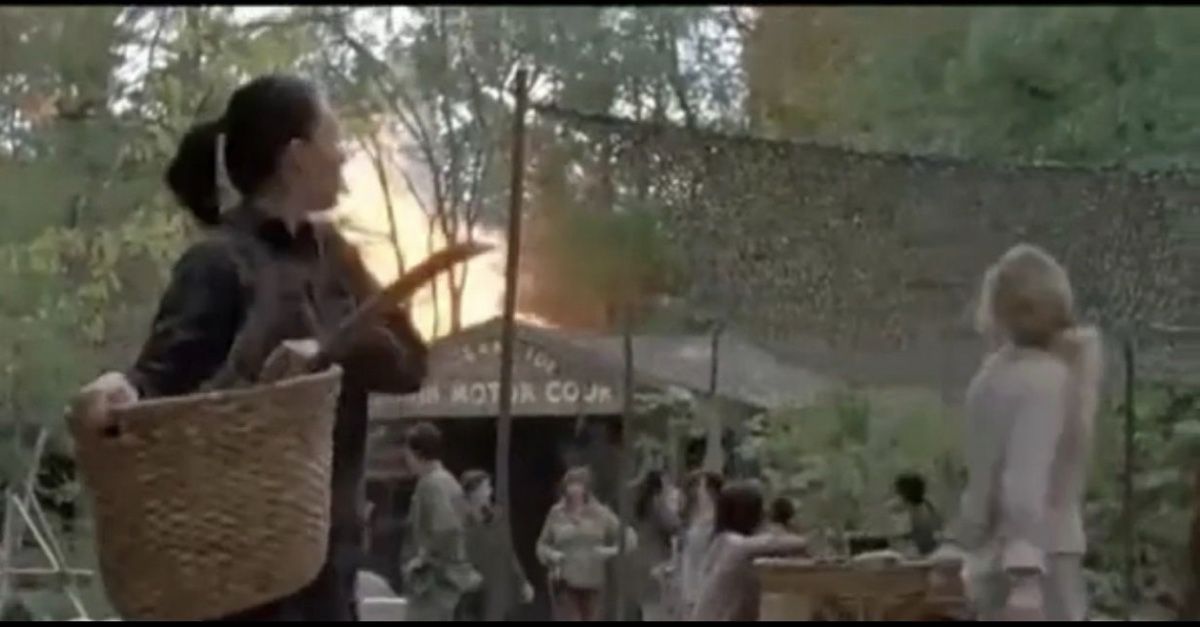 Tessuti: The Walking Dead Requisite – Oceanside Netz & Seil – Nuovo (secondo la descrizione) da Kerzers venduto da -.-Jesus-.- 6