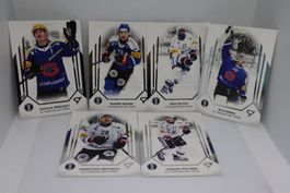 HC Fribourg Gotteron 2024/25 National League Playoffs Karten