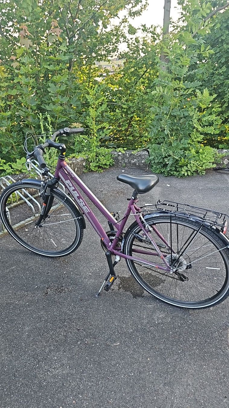 Velos: Bici da donna Pulse viola taglia M usata – Gebraucht aus Zürich von ric_dgd7