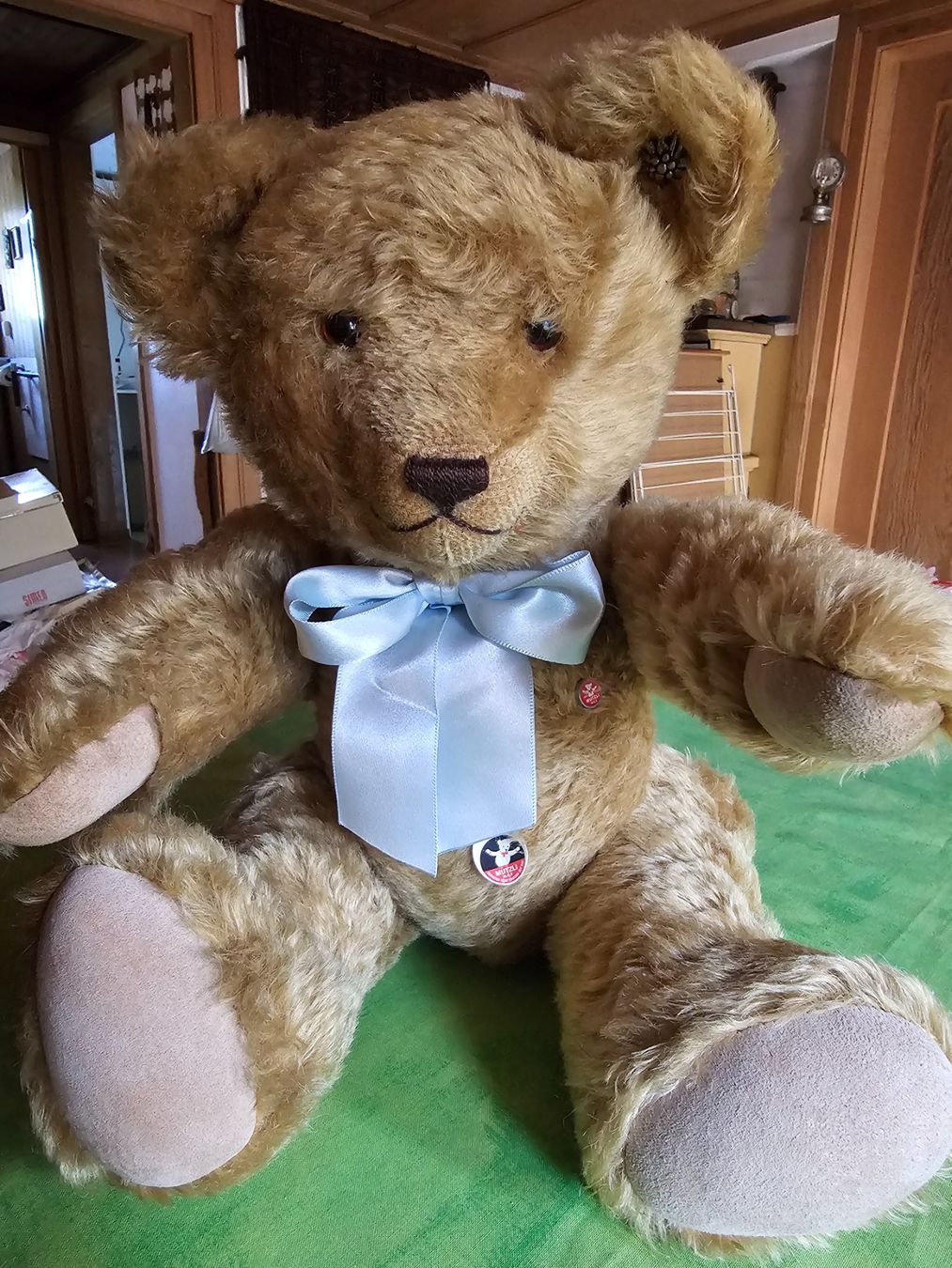 Giocattoli: Mutzli Teddy MCZ – Usato da Bigenthal venduto da Westerngirl 4