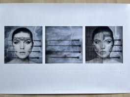 HR Giger Lithografie, Debbi Harry, Blondie
