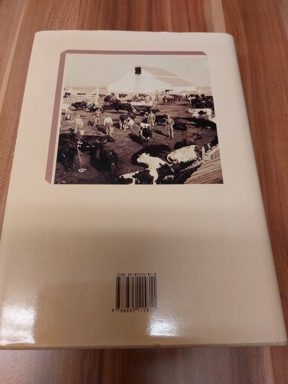 Libri: Dal medèe al dery - Giorgio Cheda - 1993 – Usato da Pambio Noranco venduto da Pol69 2