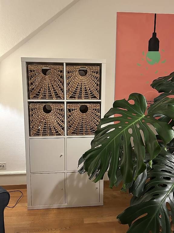 Ikea Scaffali: Kallax Ikea – Usato da Bern venduto da tomschmid23