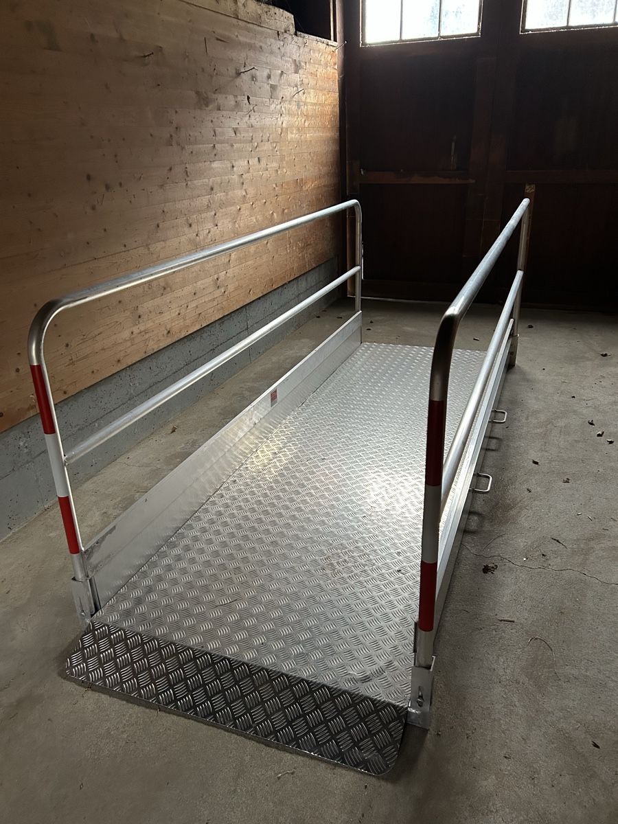 Rampe di accesso: Grabenbrücke – Nuovo (secondo la descrizione) da Oberriet SG venduto da Gizzi62 3
