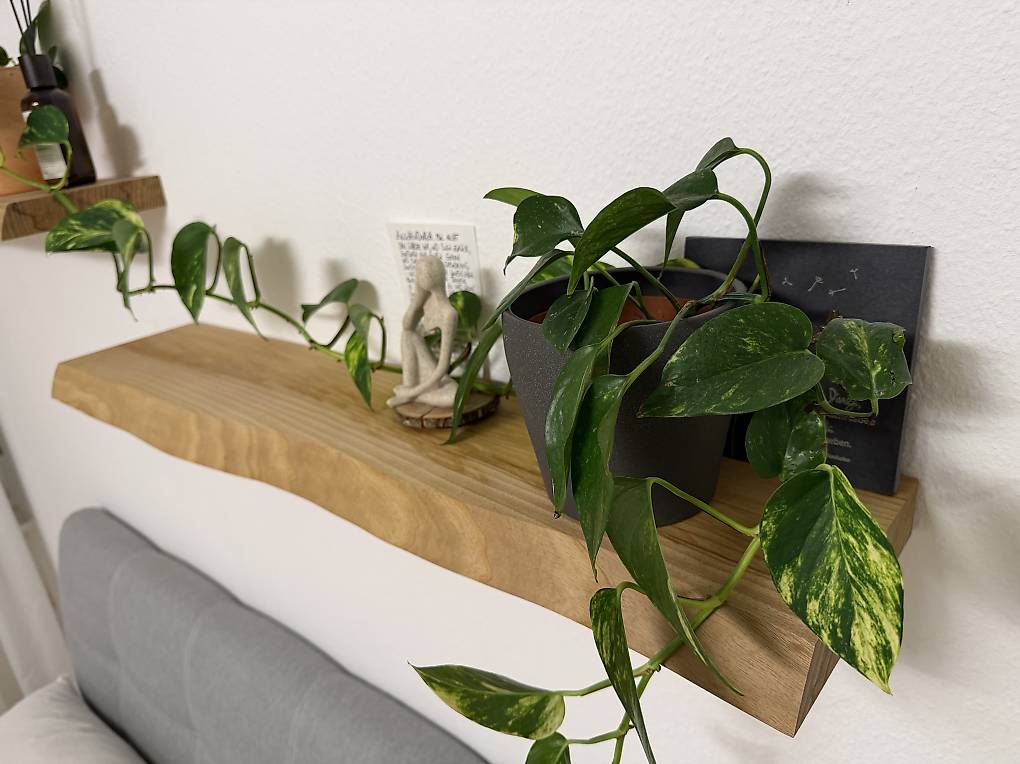 Regale: 2 Holz Wandregale – Gebraucht aus Liestal von top_s2pf