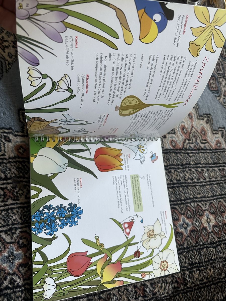 Bücher: Gärtnen mit GLOBI – Gebraucht aus Uster von bek_v2ct 7