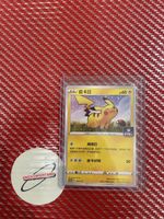 Pikachu 005/sp promo Pokemon Card