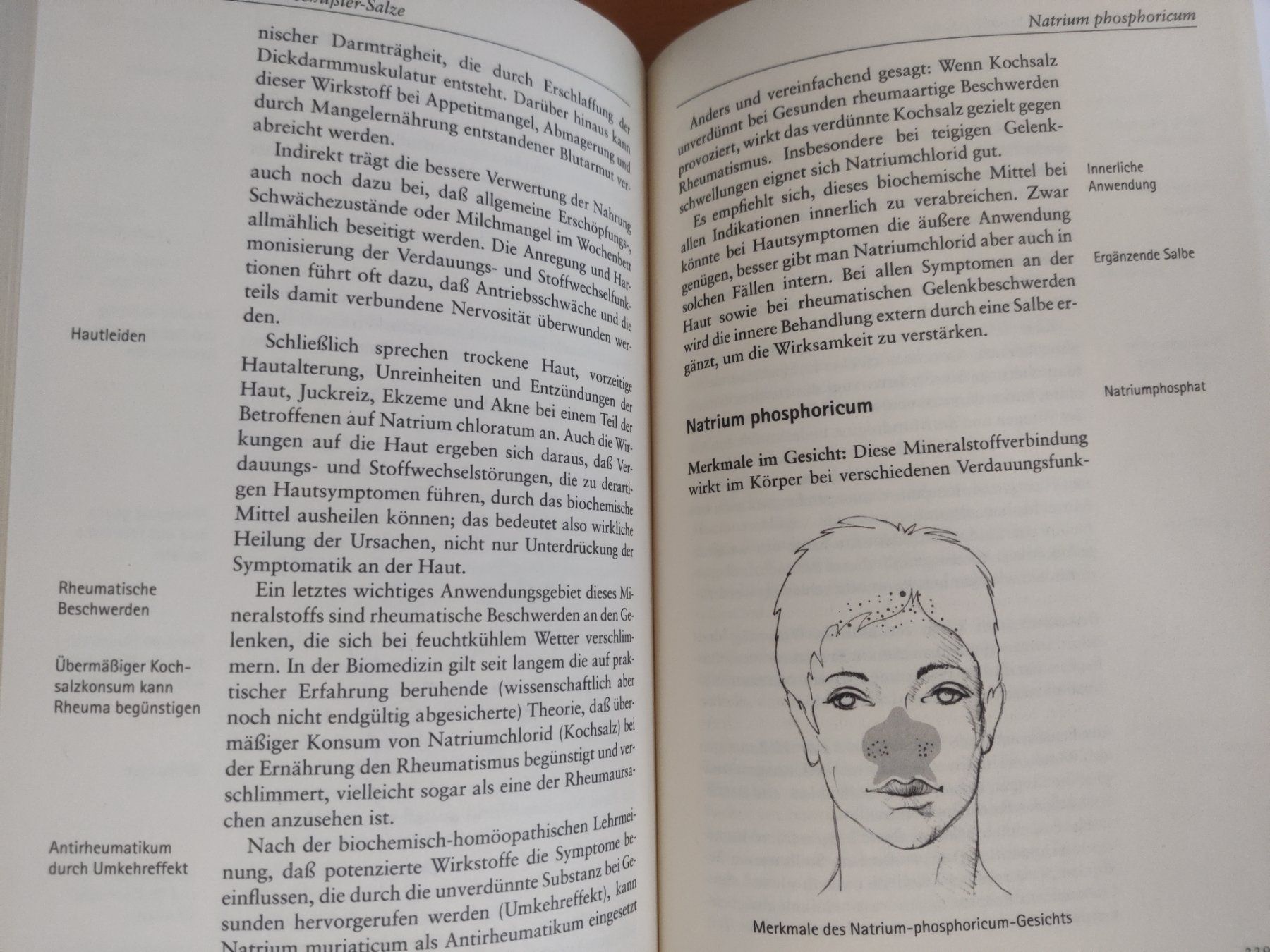 Bücher: Das große Handbuch Schüßler-Salze / Gerhard Leibold - 2007 – Gebraucht aus Muttenz von IkaSul 3