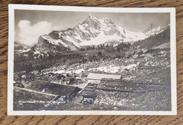 Alp Braunwald 1930, n. Homvrechtikon, z. Fam. Leumann