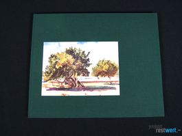 Buch Aquarelle von ANTON E. SCHRAFL