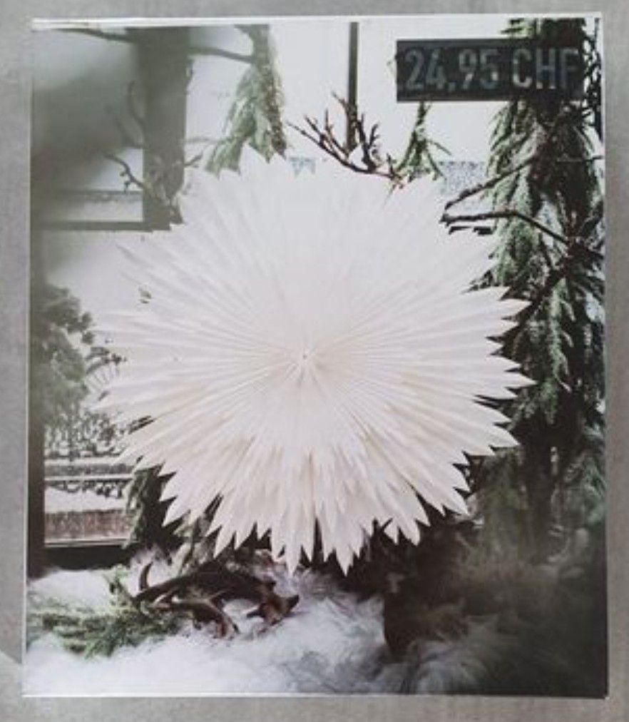 Tutte le decorazioni: Weihnachtsstern Papier – Usato da Heerbrugg venduto da kim11