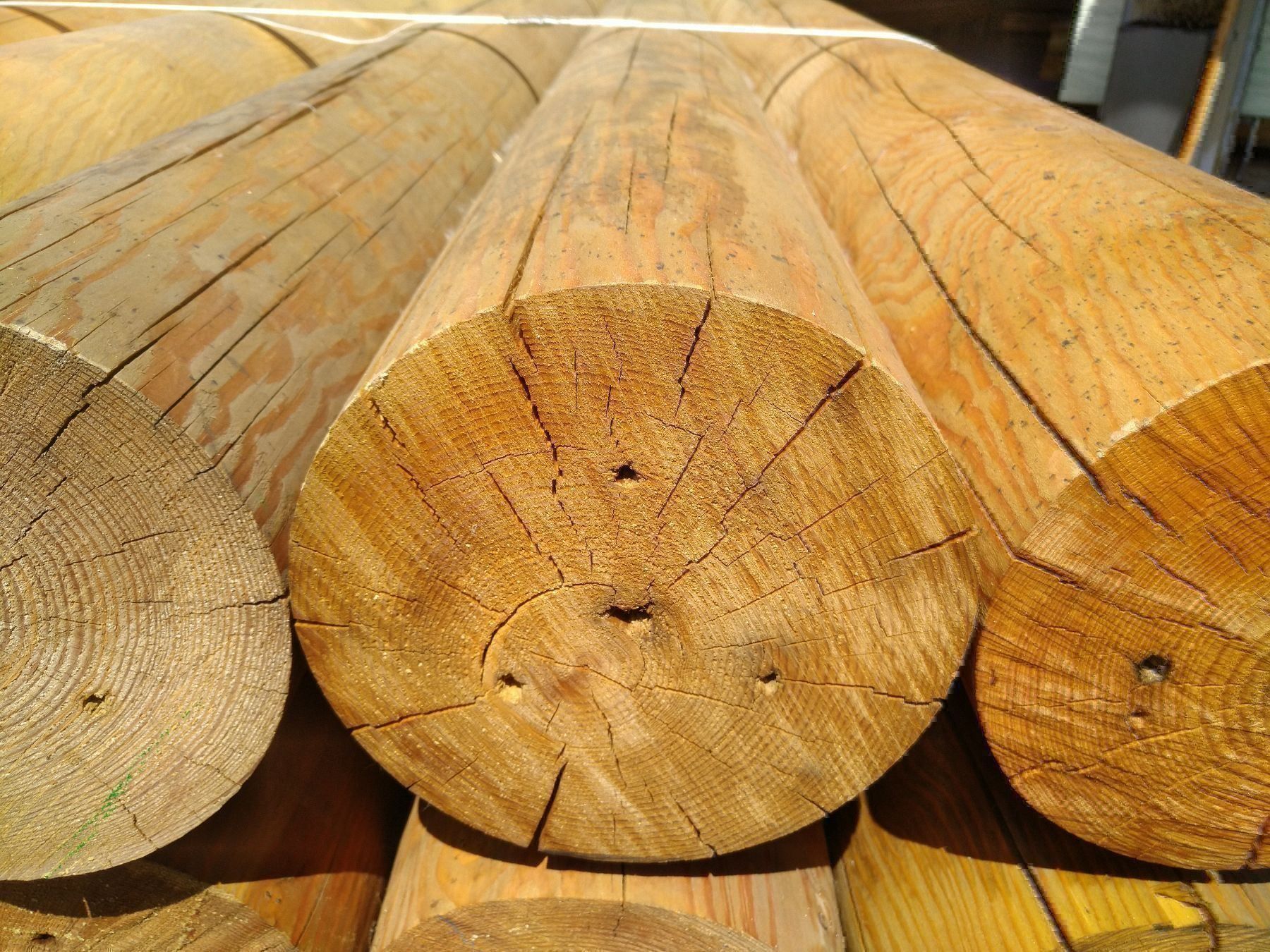 Holzartikel: Palisaden Pfähle Rundholz Träger Lärche – Gebraucht aus Basel von e-swiss 7