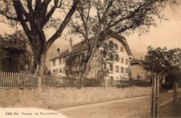 Yvorne  VD  -  La Fourmilière