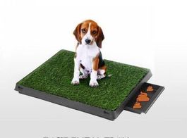 Hunde toilette Trainer Haustier Toilette