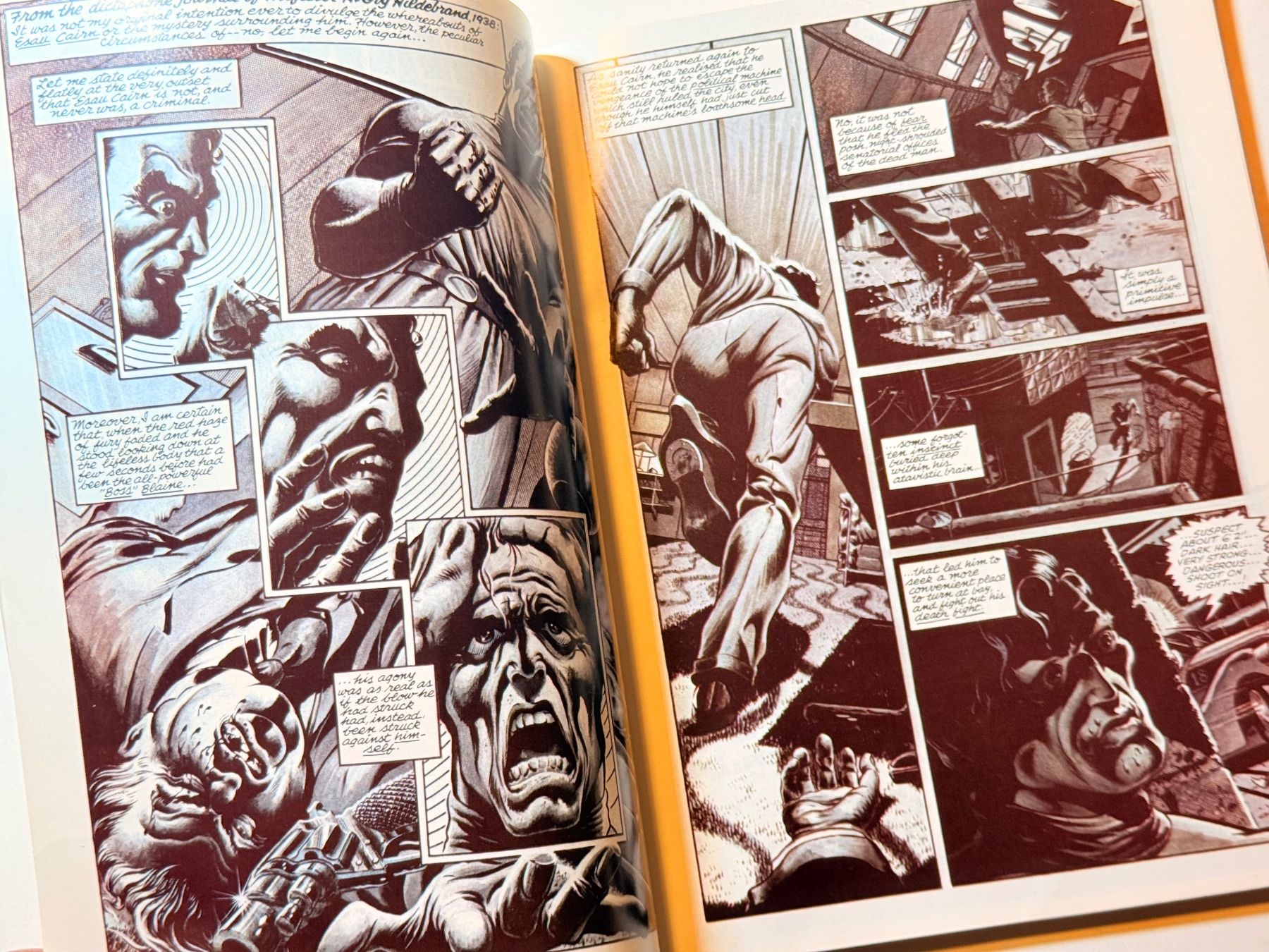 Fumetti: Almuric Comic von Roy Thomas und Tim Conrad, Top Zustand – Usato da Zuerich venduto da SonderArt-Wertgut 3