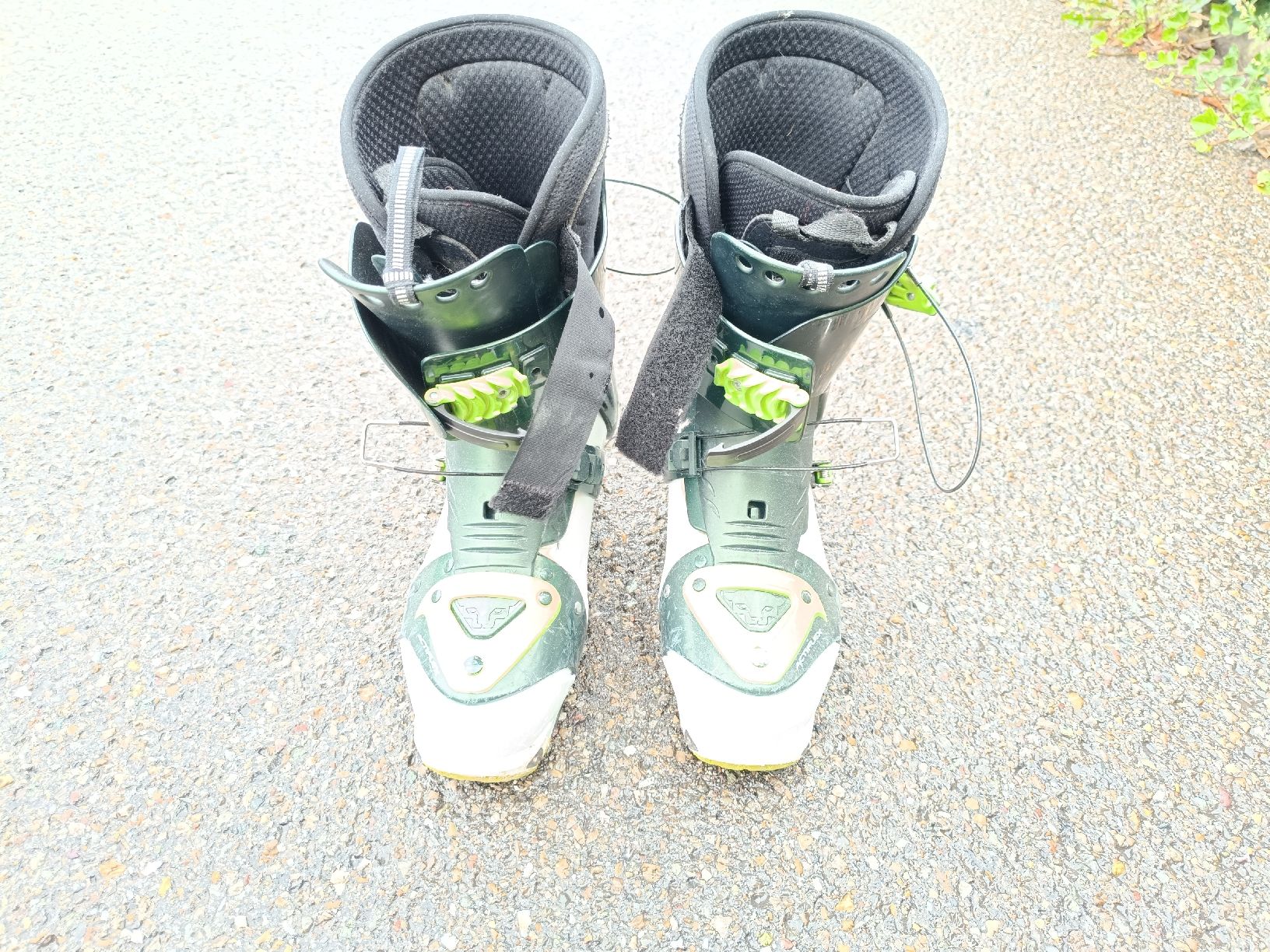 Dynafit Scarpe da uomo: Dynafit TLT 5 Mountain TF-X / Gr. 27 – Usato da Bertschikon Gossau venduto da Dominaldo1 1