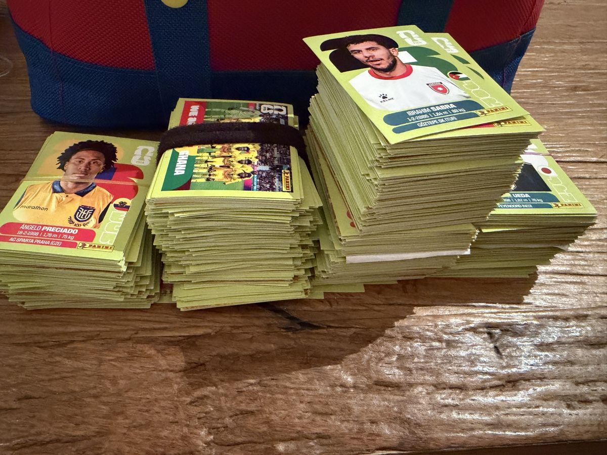 Panini Carte collezionabili: Panini 2026 – Usato da Payerne venduto da bui_nfz8