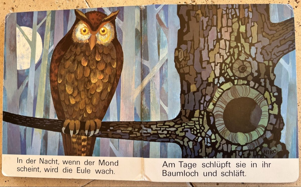 Libri: Kinderbuch, Kommt in den Wald. – Usato da Hinwil venduto da TomTom036 3