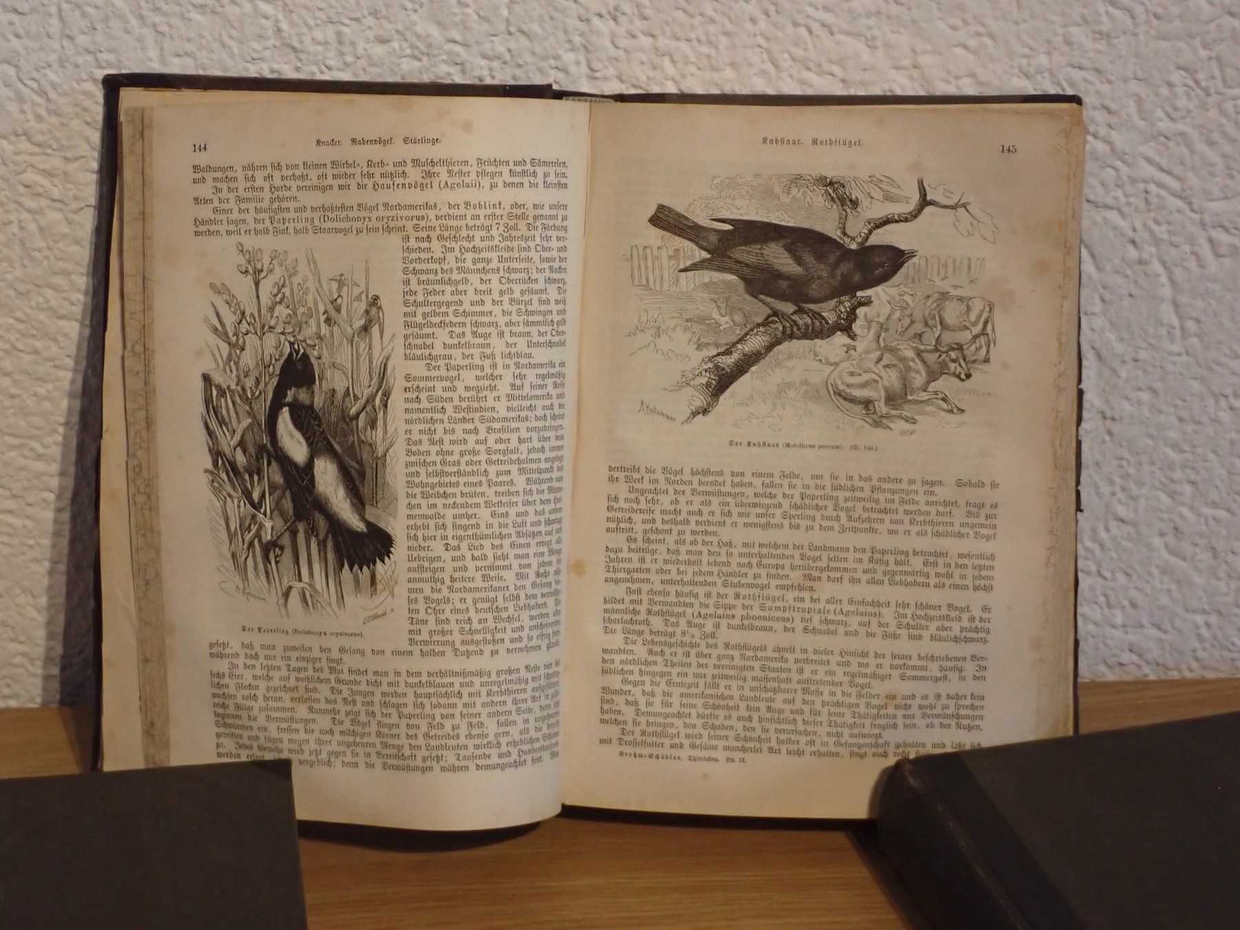Bücher: Antik  "Brem`s Illustriertes Thierleben", 1860 – Gebraucht aus Winterthur von Minerva_59 1