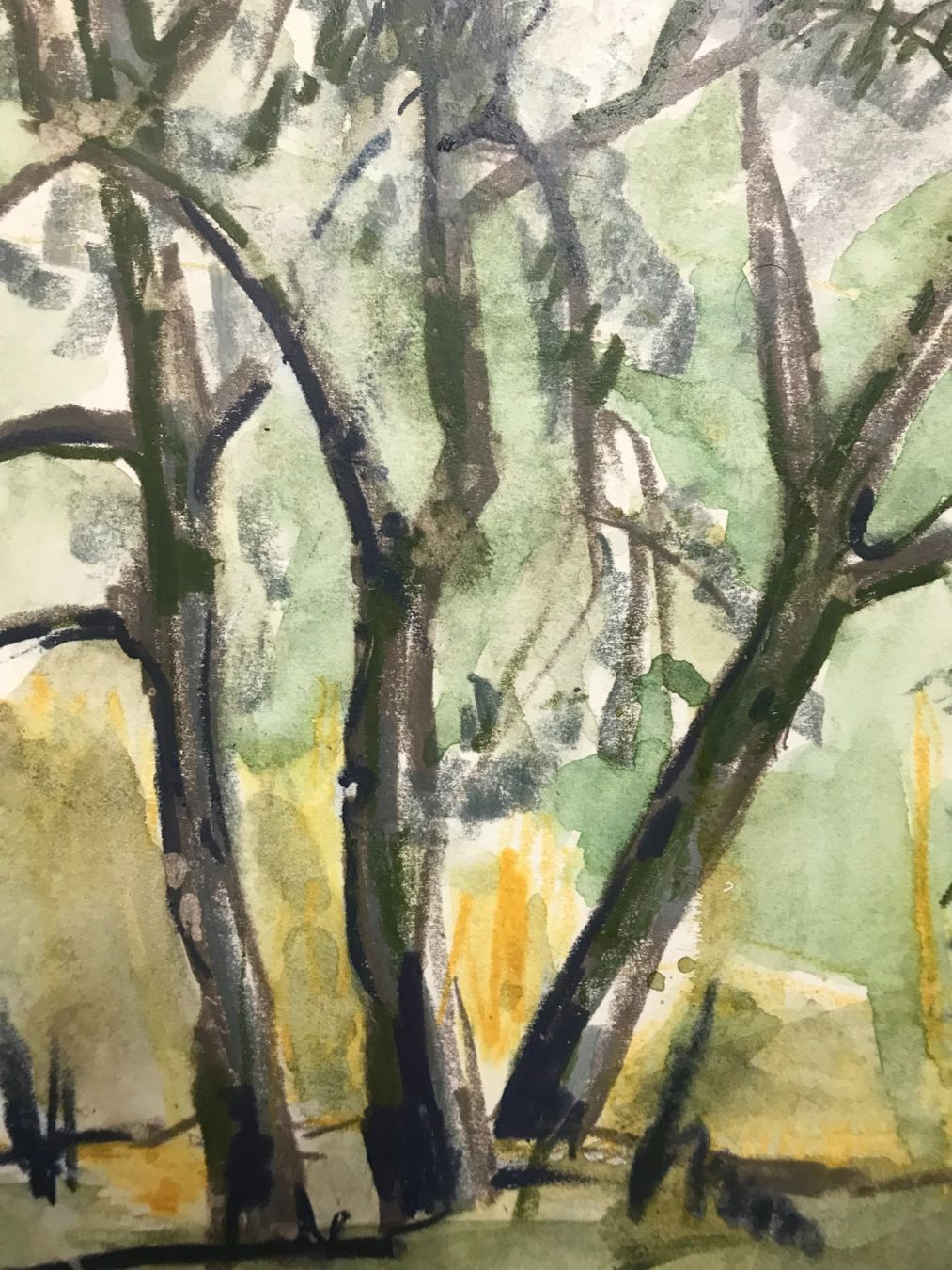 Dipinti: Junger Olivenbaum - Toscana, Aquarell, 33x40, 1993 – Usato da Biberist venduto da longimanus3 2
