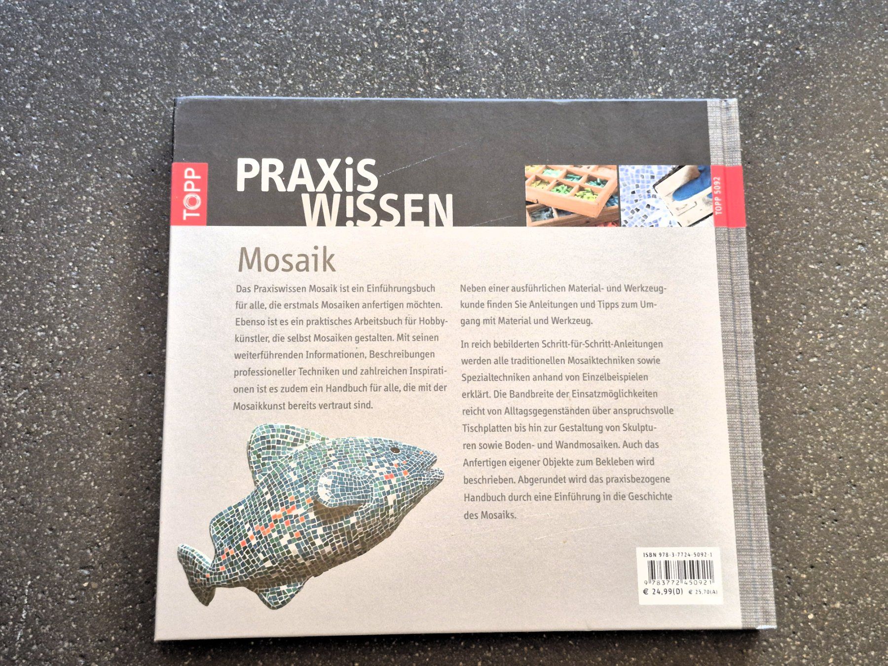 Libri: Praxis Wissen - Mosaik – Nuovo (secondo la descrizione) da St. Gallen venduto da Amelie_73 1