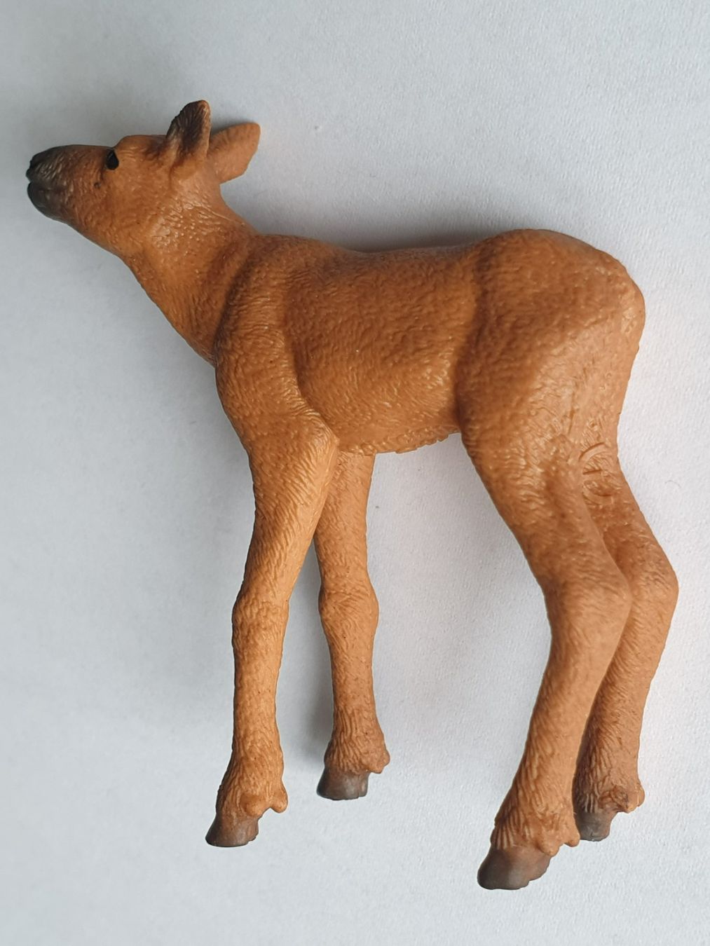 Schleich Statuette: Elch - Junges Tier Schleich – Nuovo (secondo la descrizione) da Mörschwil venduto da spirspi 4