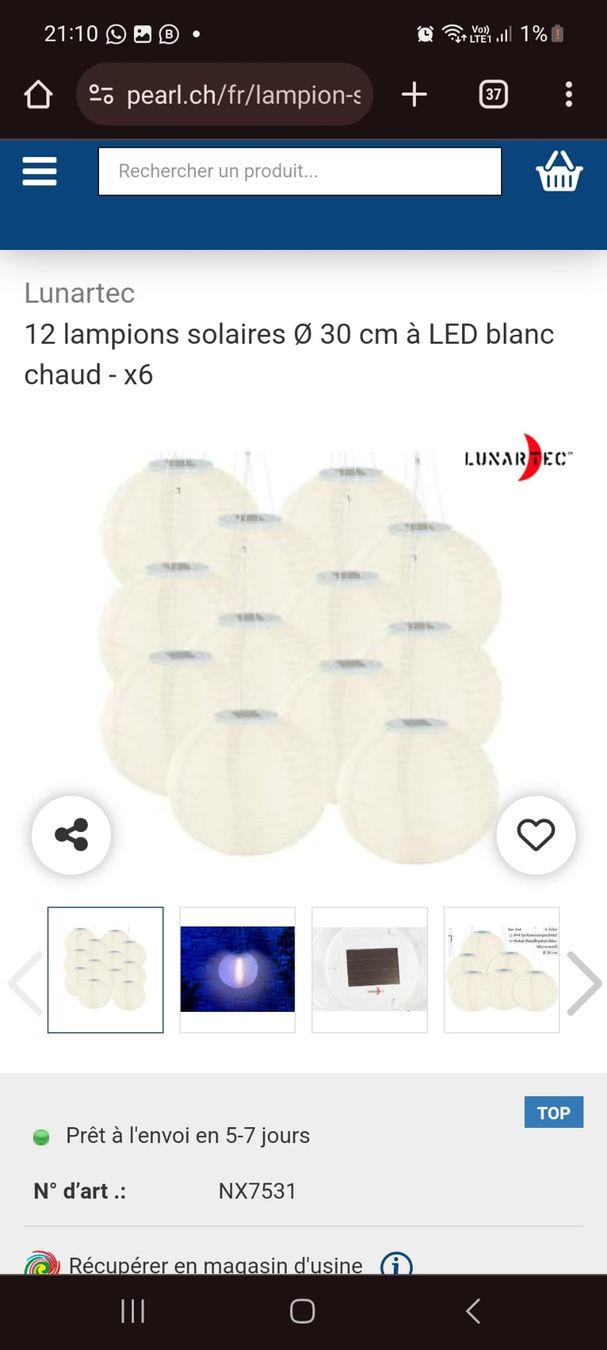 Sonstige Dekorationen & Accessoires: lampions – Gebraucht aus Courtelary von Badermb0 1