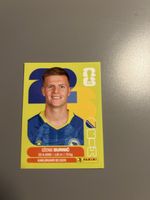 Panini FIFA Dženis Burnić, BIH 14