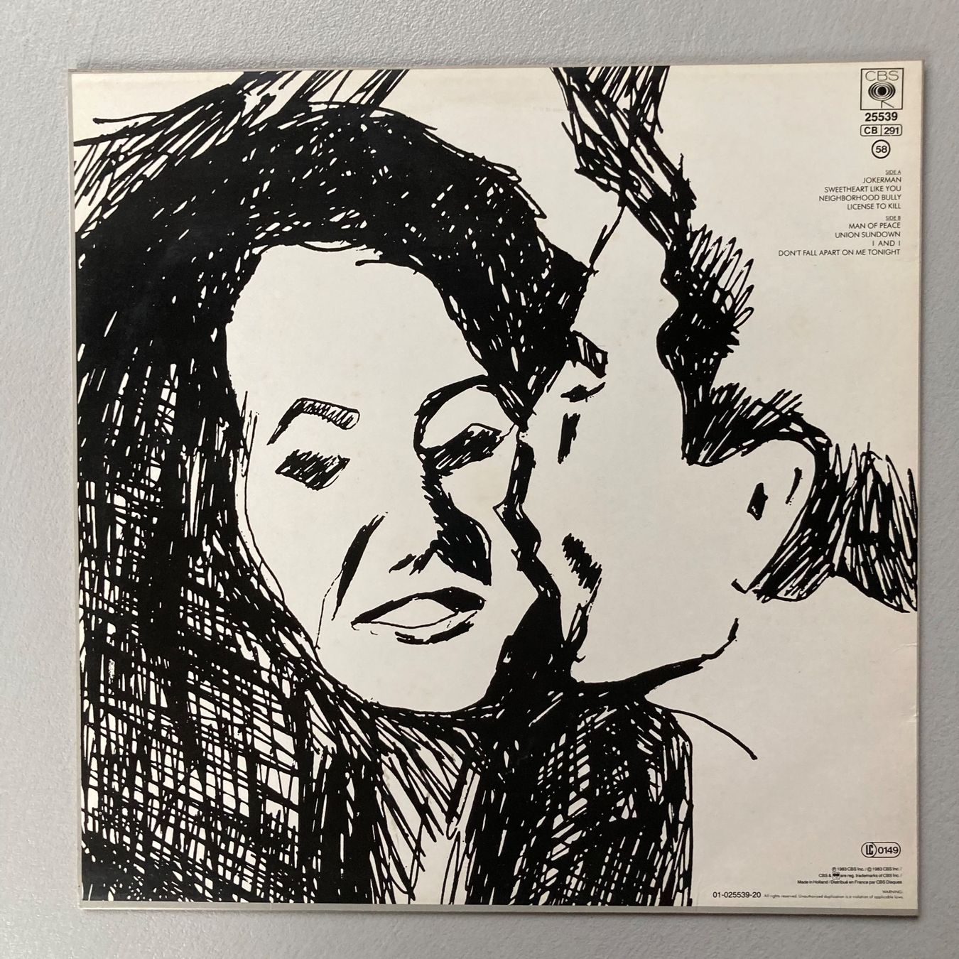 Dischi in vinile: Bob Dylan - Infidels - LP – Usato da dachsen venduto da oheio 1