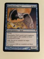 1 x Rimefeather Owl - Magic: The Gathering - MtG