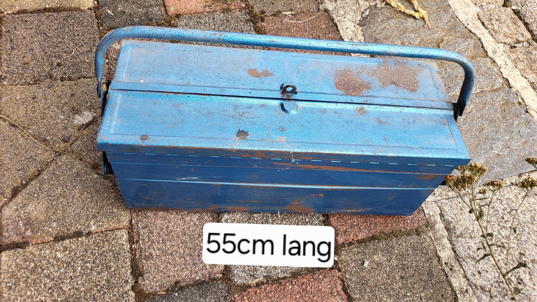 Equipement & pcs de rechange: Werkzeugkiste Blech – D'occasion à Jakobsbad par WEGO_9245