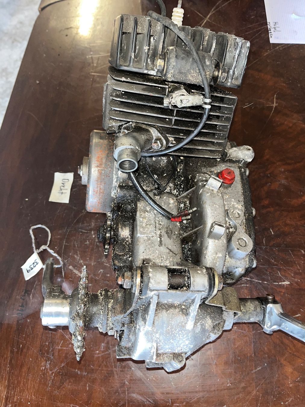 Zündapp Parti ricambio per ciclomotori: Zündapp Mofa Motor – Usato da Fahrni b. Thun venduto da berger_tuning34 4