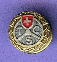 TCS   Logo  goldig