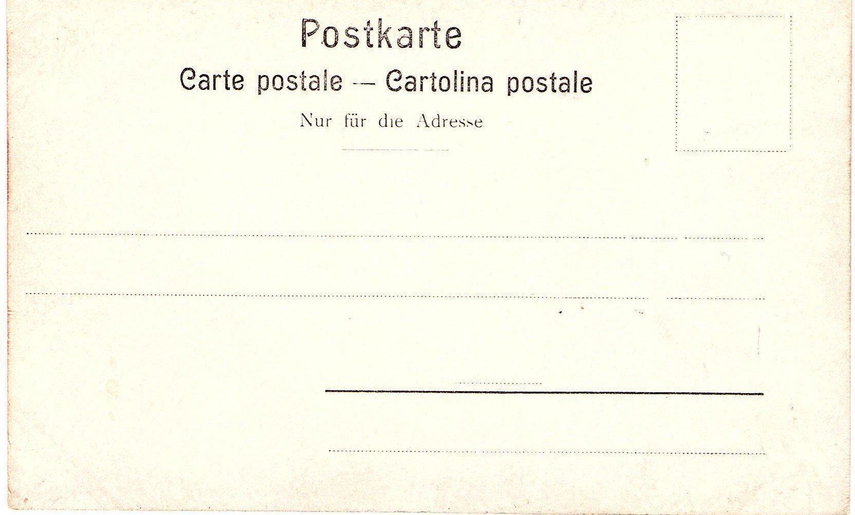 Cartoline postali: Ansichtskarte Berner Senn antik – Usato da Mörschwil venduto da antiksalon 1