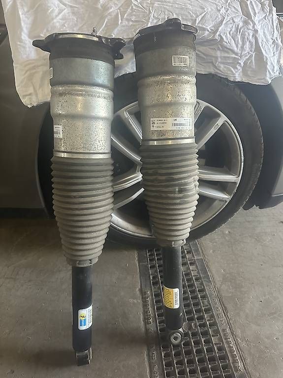 Toutes les pièces auto: Original Tesla Model S Luftfederbein hinten, Bilstein – D'occasion à Zwingen par hic_vj2x