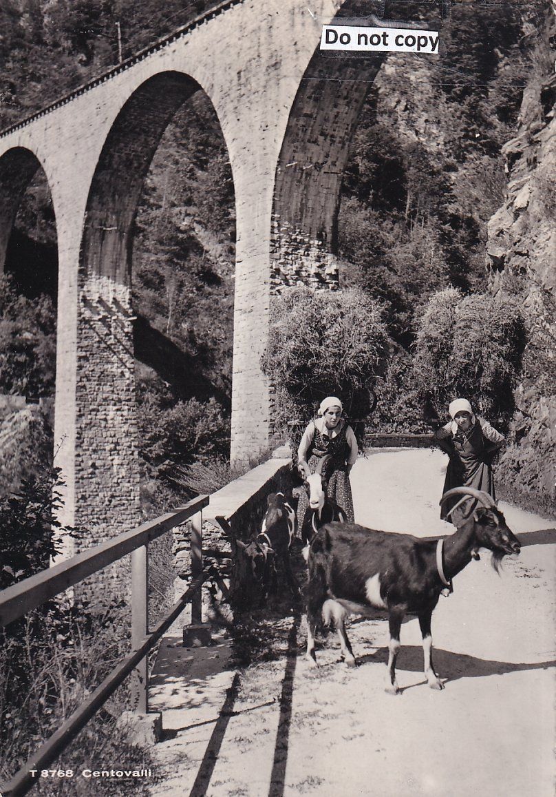 Cartoline postali: Centovalli   TI   -   Ziegenhirtin – Usato da Brig venduto da Valcards54