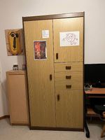 1 Schrank in Frauenfeld gratis abzuholen.