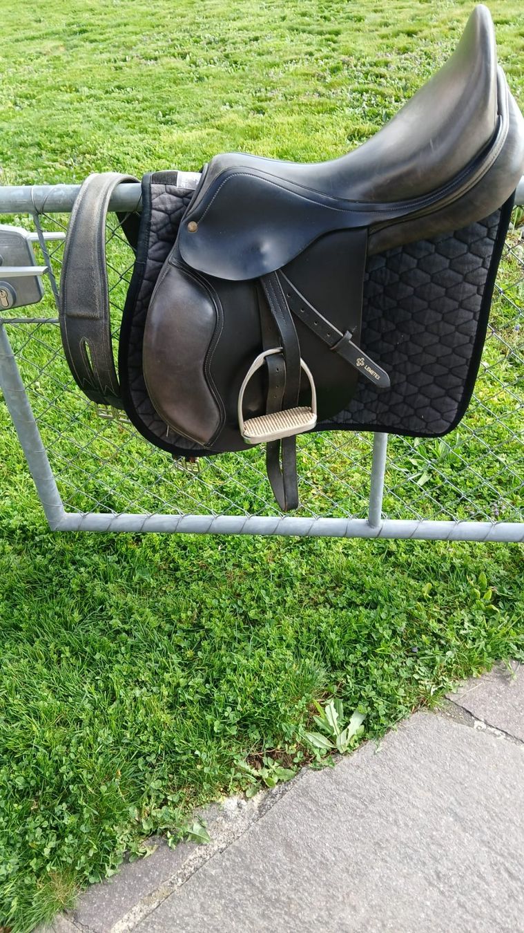 Selle & Accessori: Vielseitigkeitssattel – Usato da Birrhard venduto da sofortdiverses 1