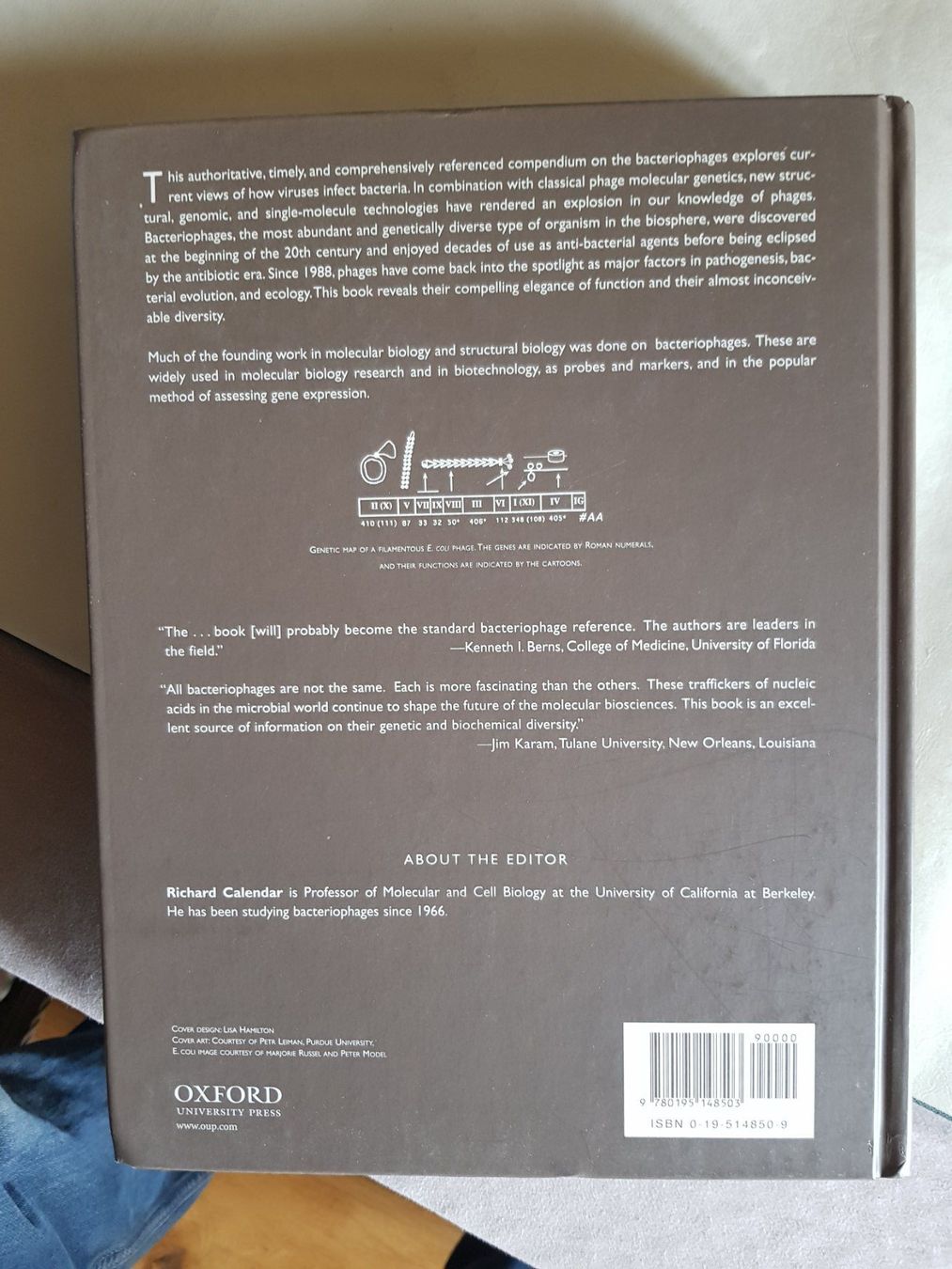 Libri: The Bacteriophages - Richard Calendar - 2. Edition - 2006 – Usato da Walterswil BE venduto da Lonitti 2