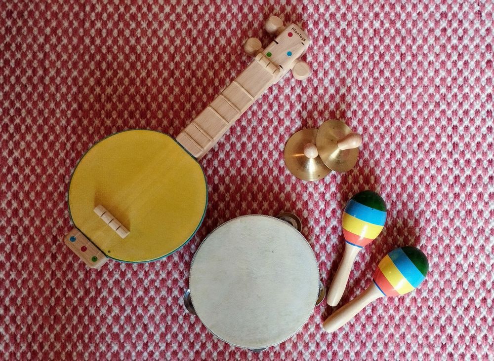Kinder Musikinstrumente Plantoys und Co.