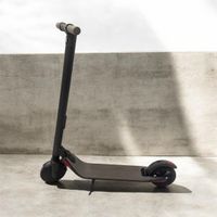 Elektroroller Segway Ninebot
