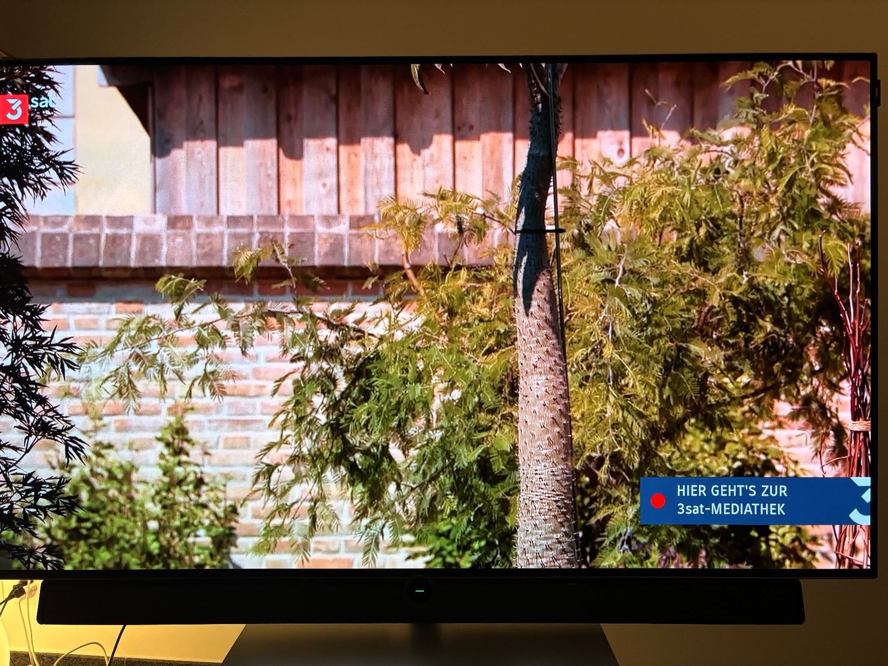 Loewe Televisori: Loewe bild 5.55 OLED, Top Zustand – Usato da Uster venduto da Sgasser 1