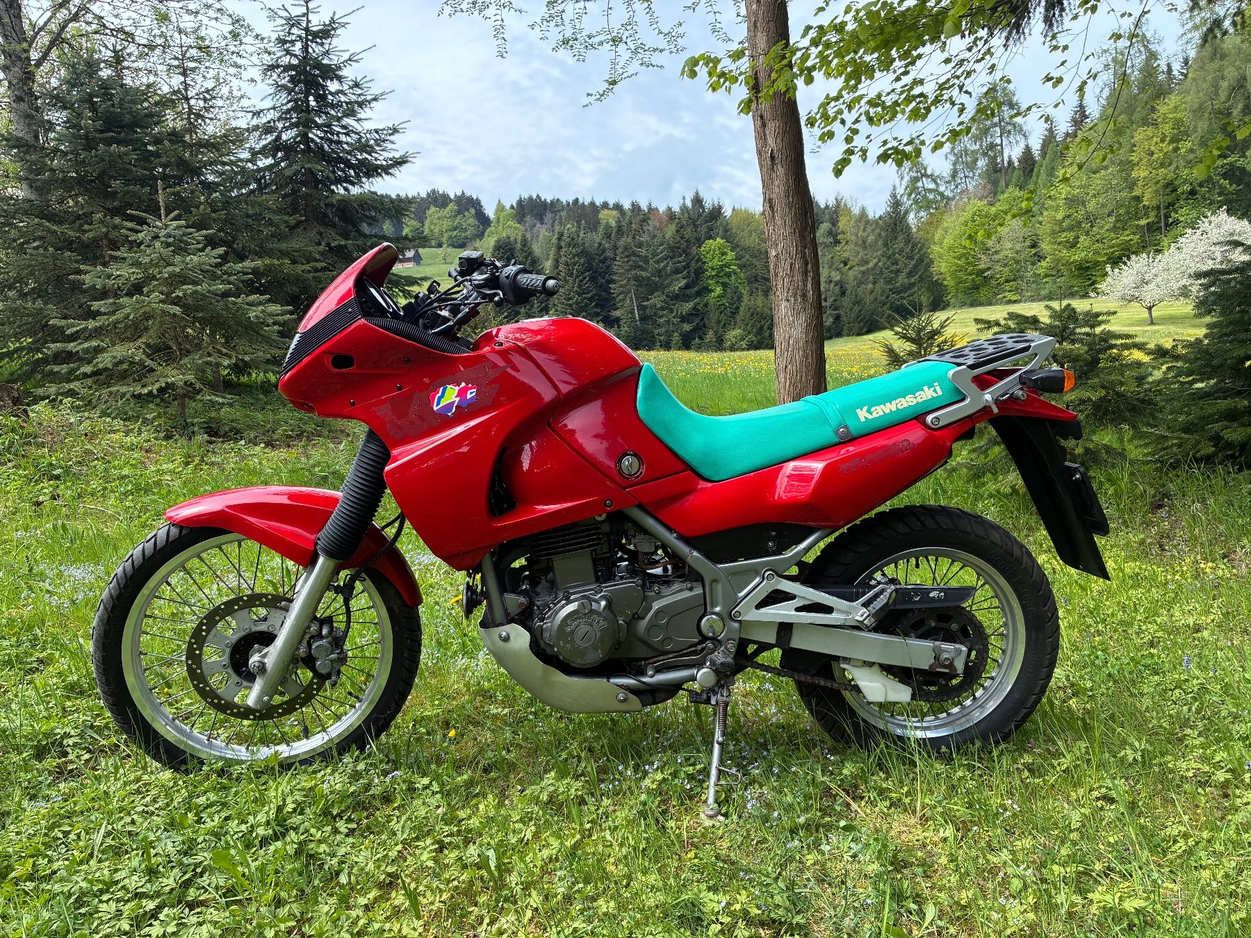 Kawasaki Enduro: Kawasaki kle 500 – Usato da St. Gallen venduto da MarkoBoss 3