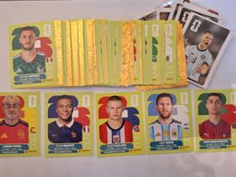 Panini Fussball Sammelkarten