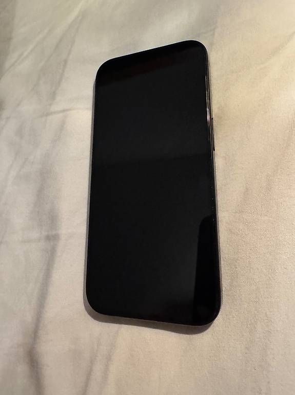 Apple iPhone 15 Pro 256 GB Schwarz, top Zustand! (Gebraucht) in ...
