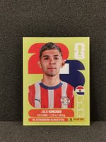 Panini Wm 2026 Sticker :Julio Enciso Par 15