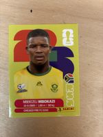 Panini RSA 6