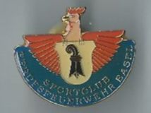Berufsfeuerwehr Basel Sportclub, Pin