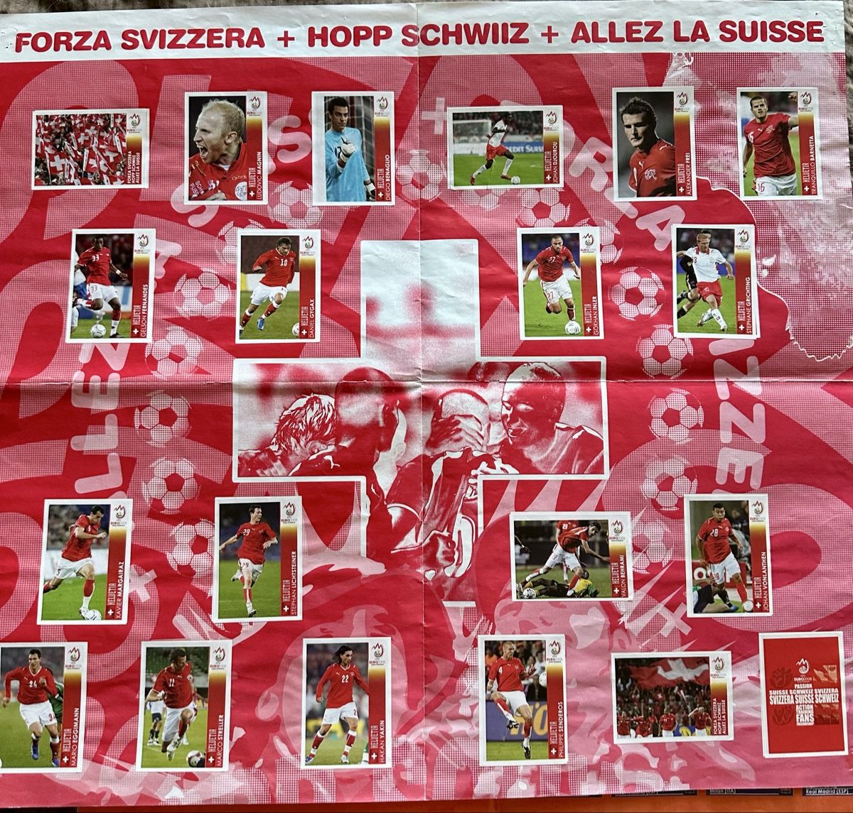 Panini Albums: Panini Euro 2008 – D'occasion à Duebendorf par 69R81y 3