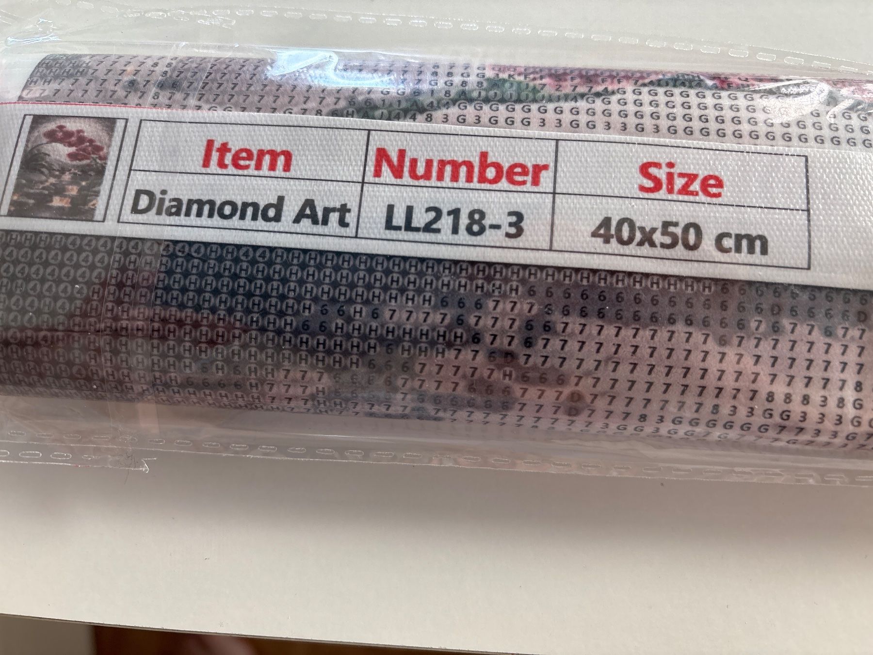 Bastelsets: Diamond Painting Bild – Neu (gemäss Beschreibung) aus Amriswil von SCHLOSSGEISTLI 1